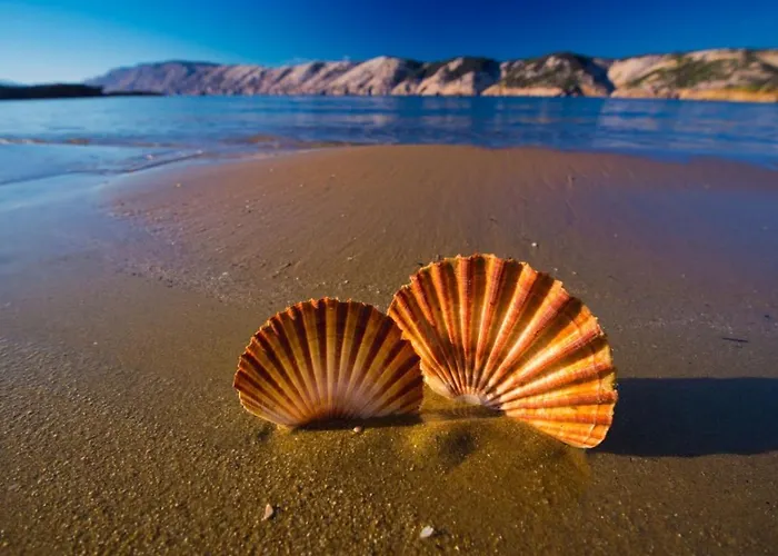 דירה 178 לופאר